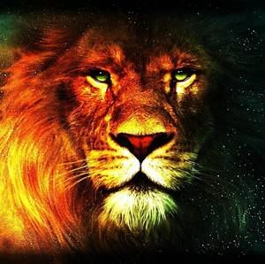 Meet your Posher, Lance